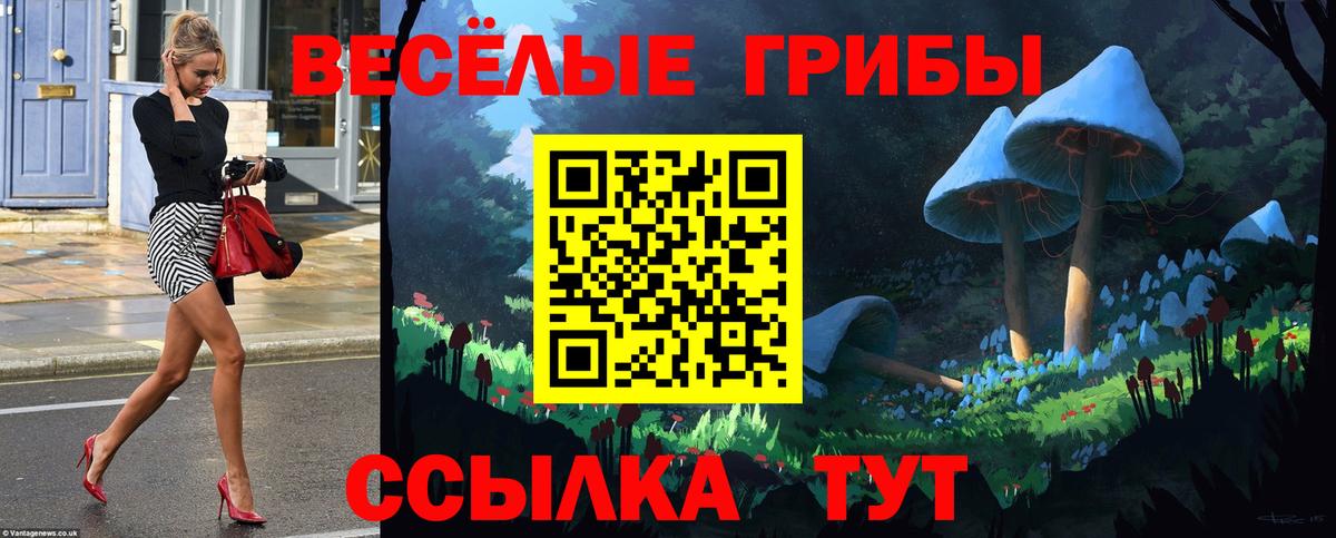 Куйбышев  Псилоцибиновые грибы мухоморы  Вход с VPN 